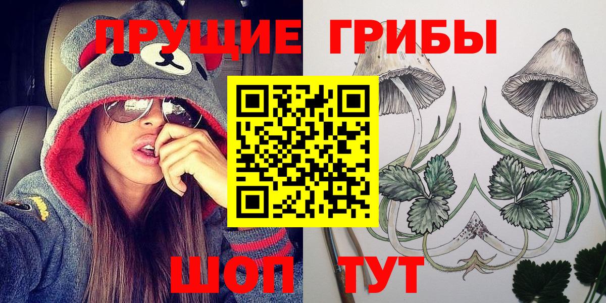 Сегежа  Псилоцибиновые грибы Psilocybe  Вход с VPN  Псилоцибиновые грибы прущие грибы 